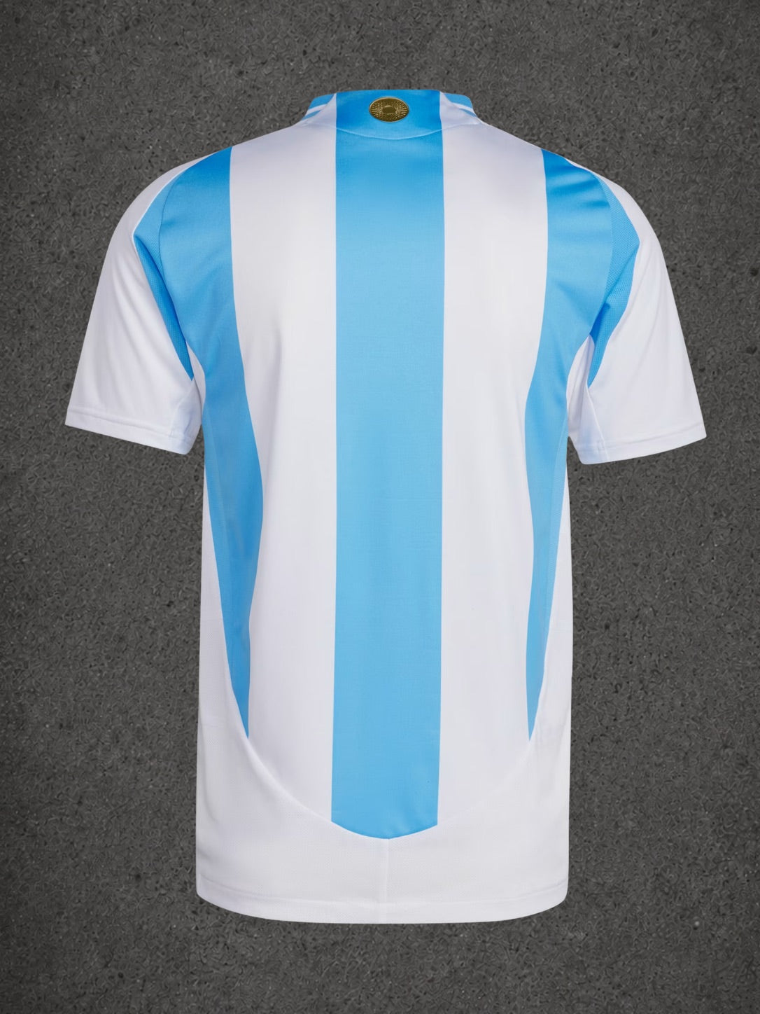Camiseta primera equipación argentina 24/25